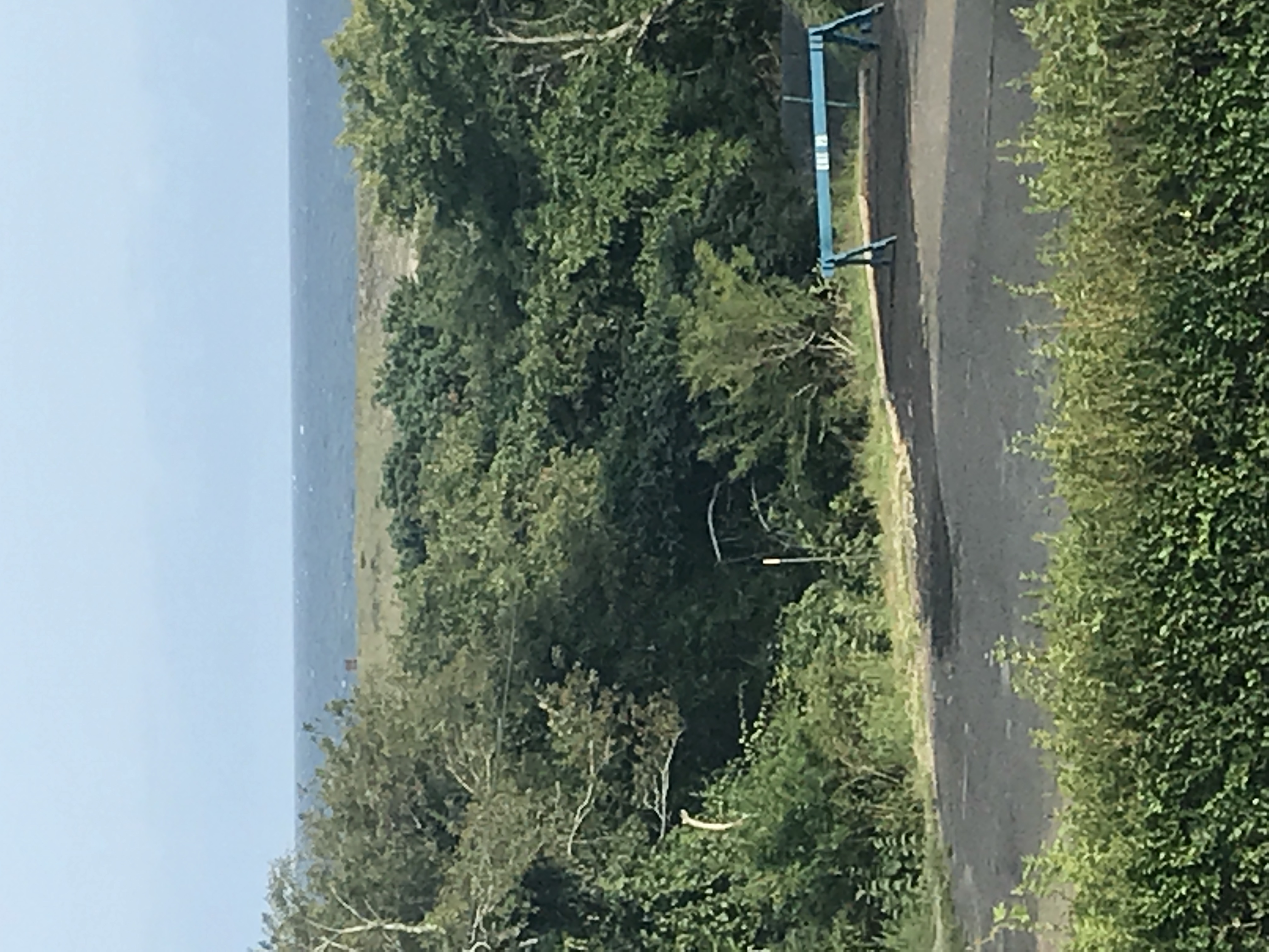 View from second floor