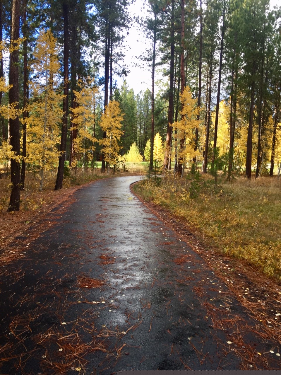 Circle walk
