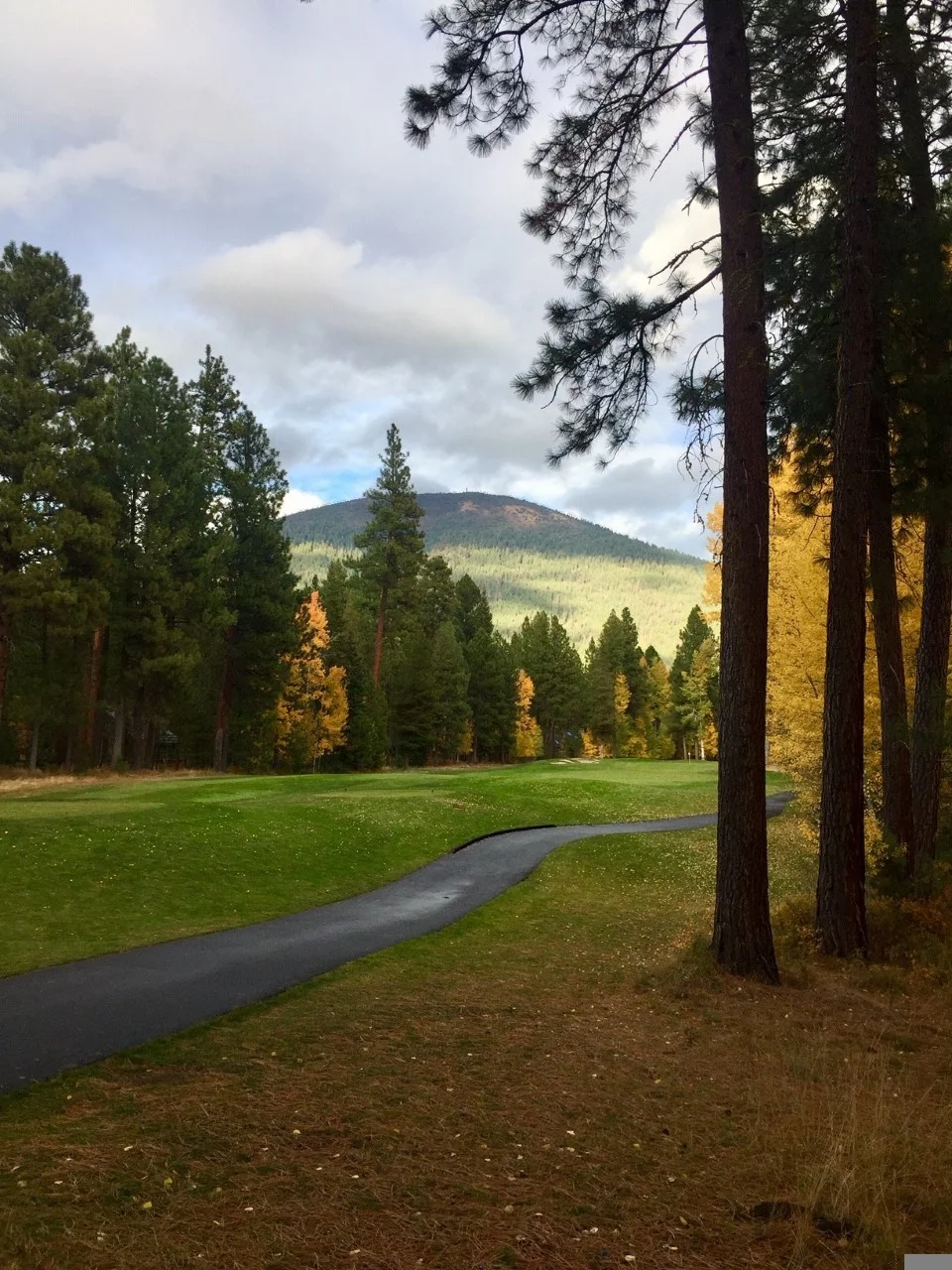 # 17 Big Meadow course