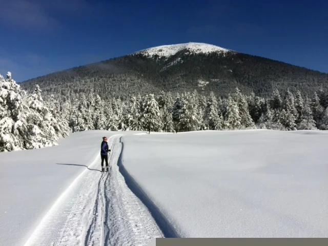 Black Butte